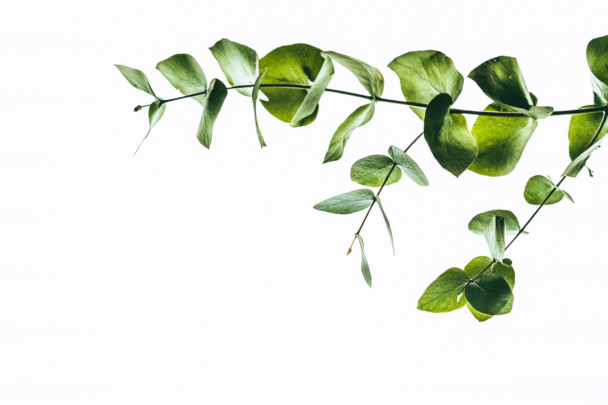 Time Hacks for Busy Lives Time Hacks for Busy Lives