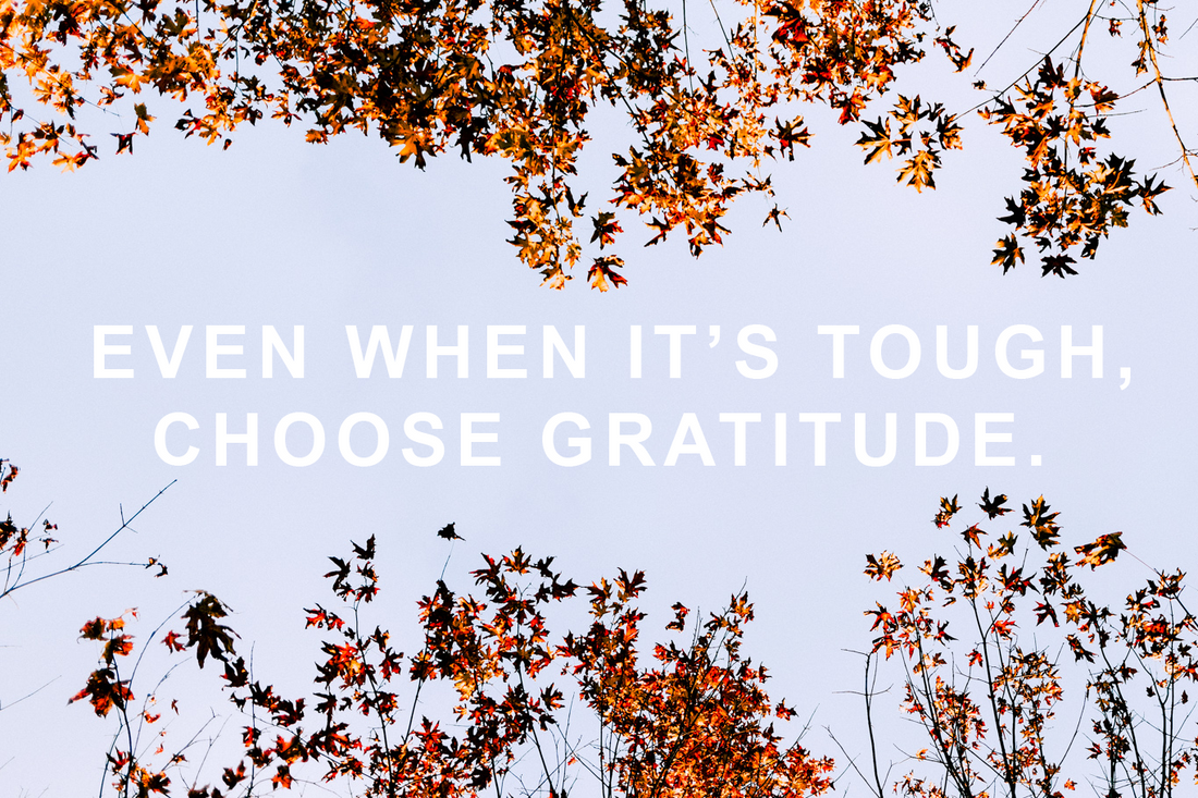 Tis the Year of Having an Attitude of Gratitude