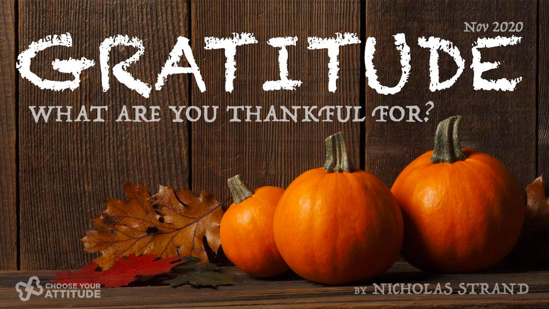 Gratitude, Are you truly thankful?